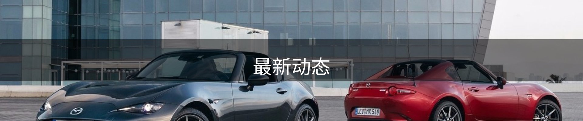 最新动态